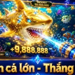 188BET Bắn Cá Và Săn Thưởng: Đọc Chi Tiết Giao Diện Để Nhận Diện Rủi Ro Từ Thiết Bị Công Cộng Và Mạng Wi-Fi Lạ – Góc Kiểm Chứng Theo Tên Miền 188betvn.website
